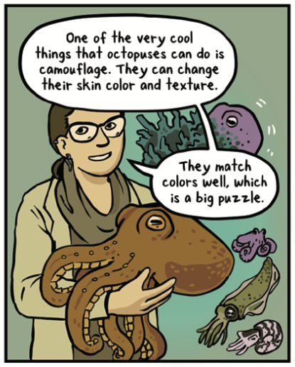 The Camouflage Conundrum (at The Nib)